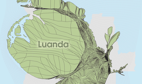 Gridded Population Cartogram Angola